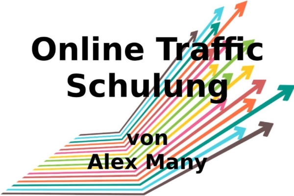 online-traffic-schulung-alex-many